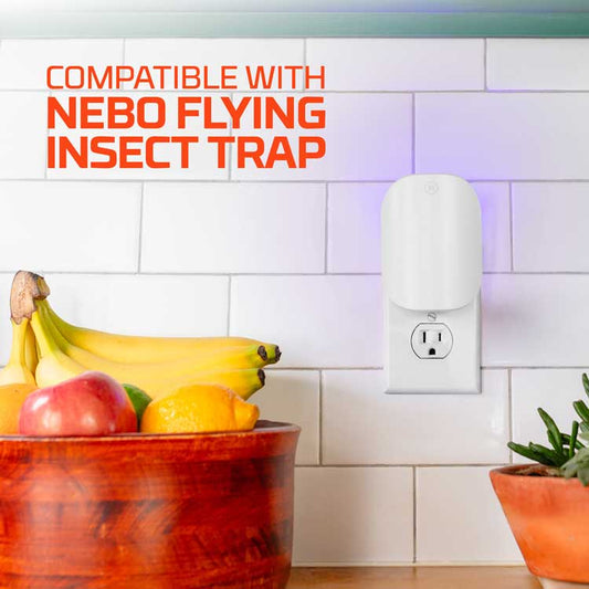 Indoor Flying Insect Trap Starter Kit